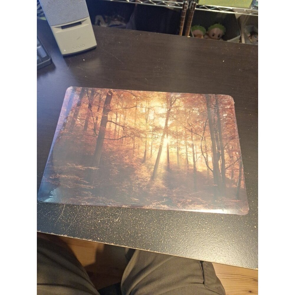 14" x 10" Plastic Sign Large Forest Scene Nature Wall Decor